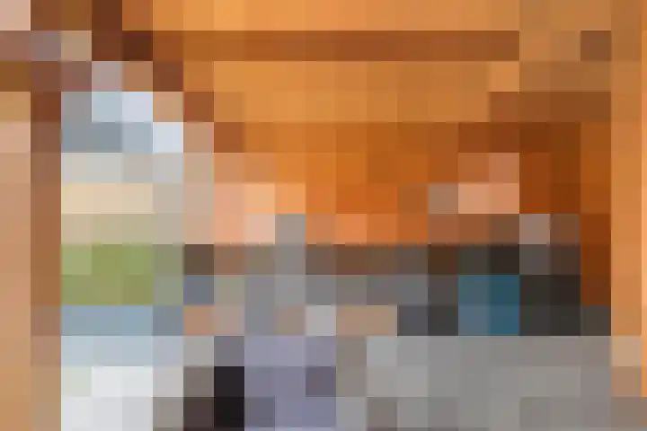 Monniksmolen 24 Zwolle thumbnail 39