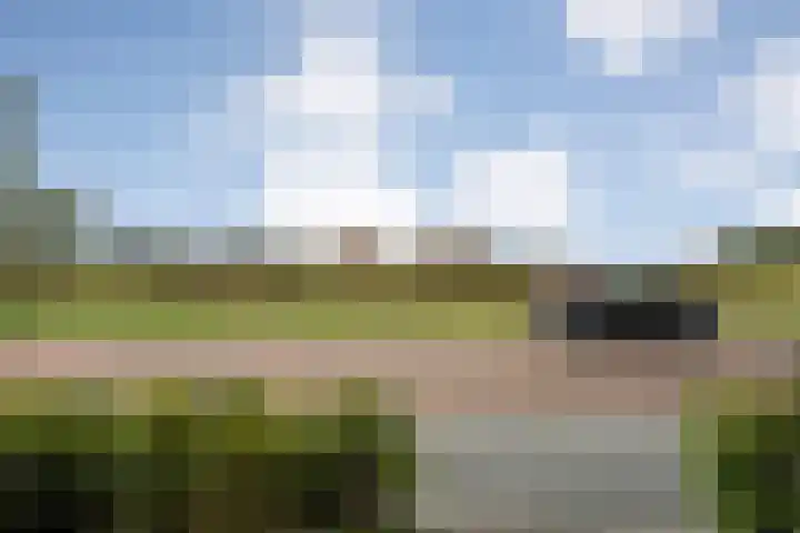 Monniksmolen 24 Zwolle thumbnail 4