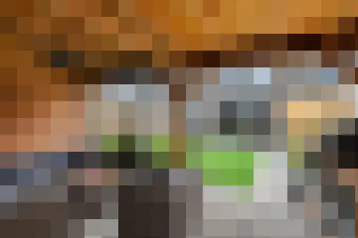 Monniksmolen 24 Zwolle thumbnail 40