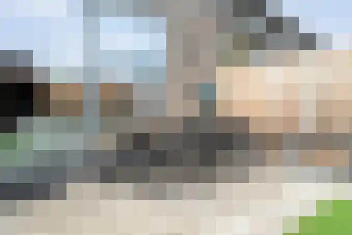 Monniksmolen 24 Zwolle thumbnail 41