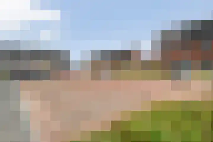 Monniksmolen 24 Zwolle thumbnail 43