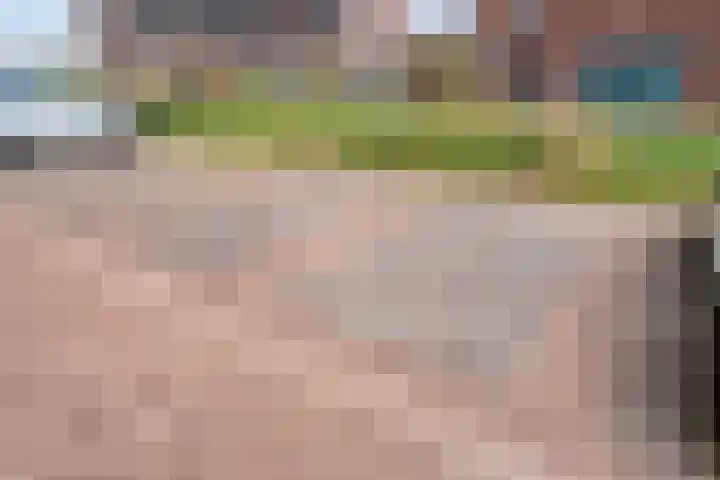 Monniksmolen 24 Zwolle thumbnail 44