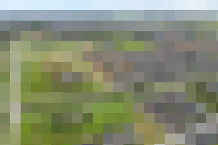 Monniksmolen 24 Zwolle thumbnail 45