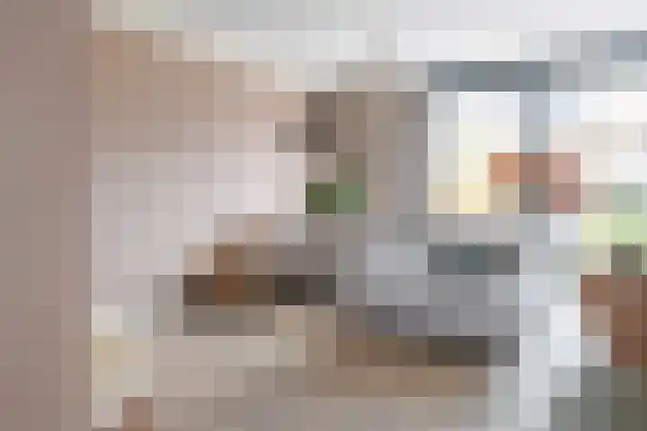 Monniksmolen 24 Zwolle thumbnail 7