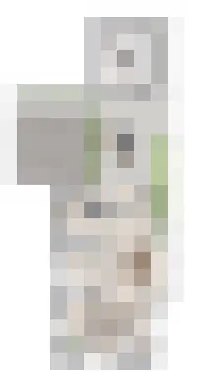 Monniksmolen 3 Zwolle thumbnail 7
