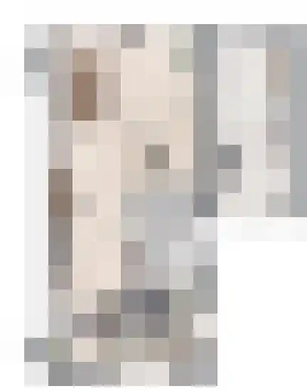 Monniksmolen 6 Zwolle thumbnail 7