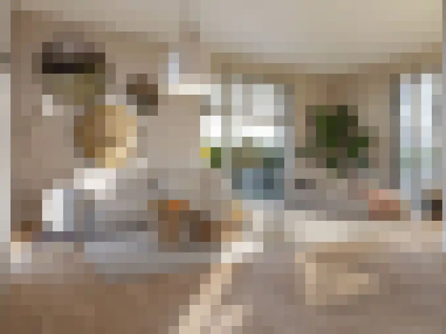 Monniksmolen 7 Zwolle thumbnail 4