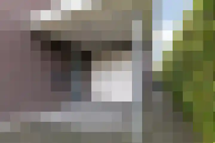 Monniksmouw 12 Wehl thumbnail 11