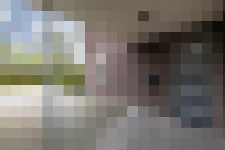 Monniksmouw 12 Wehl thumbnail 12