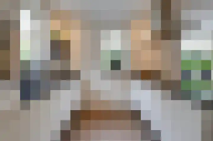 Monniksmouw 12 Wehl thumbnail 25