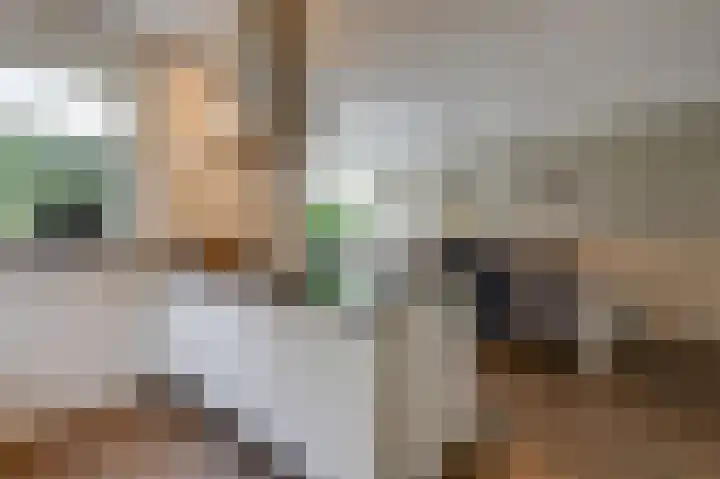 Monniksmouw 12 Wehl thumbnail 26