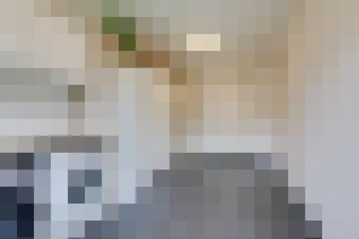 Monniksmouw 12 Wehl thumbnail 30