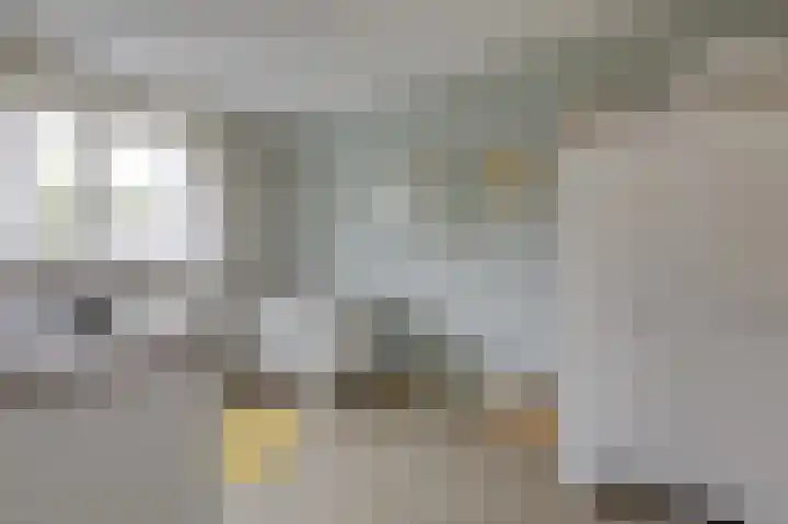 Monniksmouw 12 Wehl thumbnail 37
