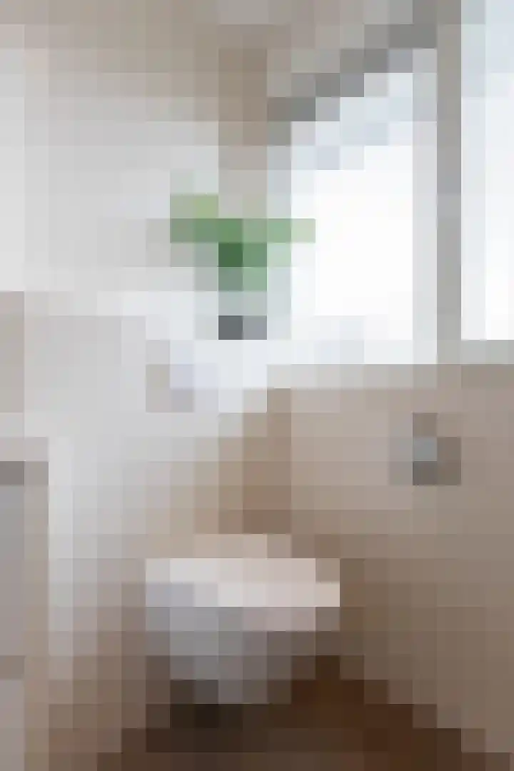 Monniksmouw 12 Wehl thumbnail 42