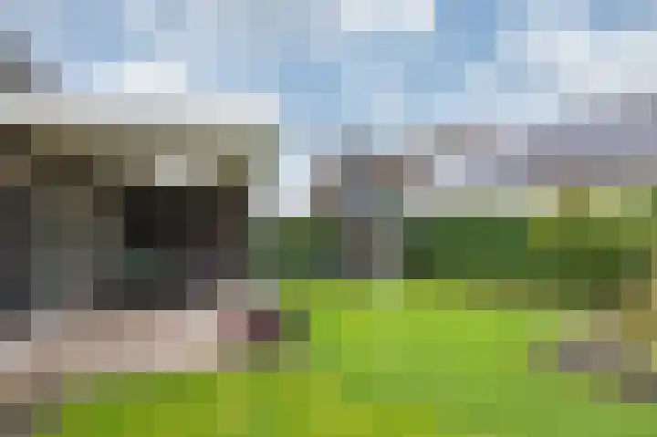 Monniksmouw 12 Wehl thumbnail 51