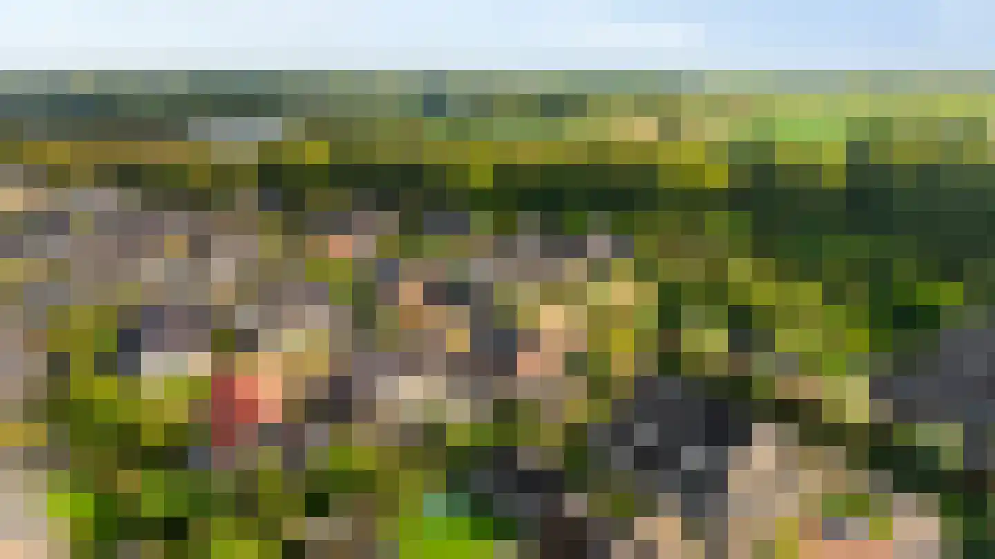 Monniksmouw 4 Wehl thumbnail 104