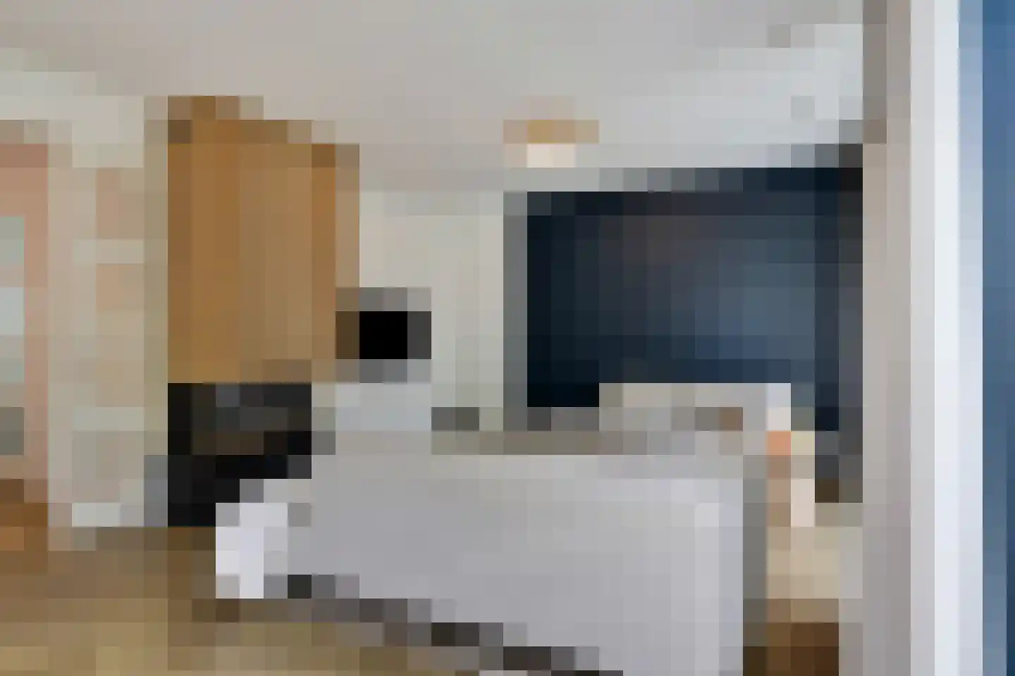 Monniksmouw 4 Wehl thumbnail 12