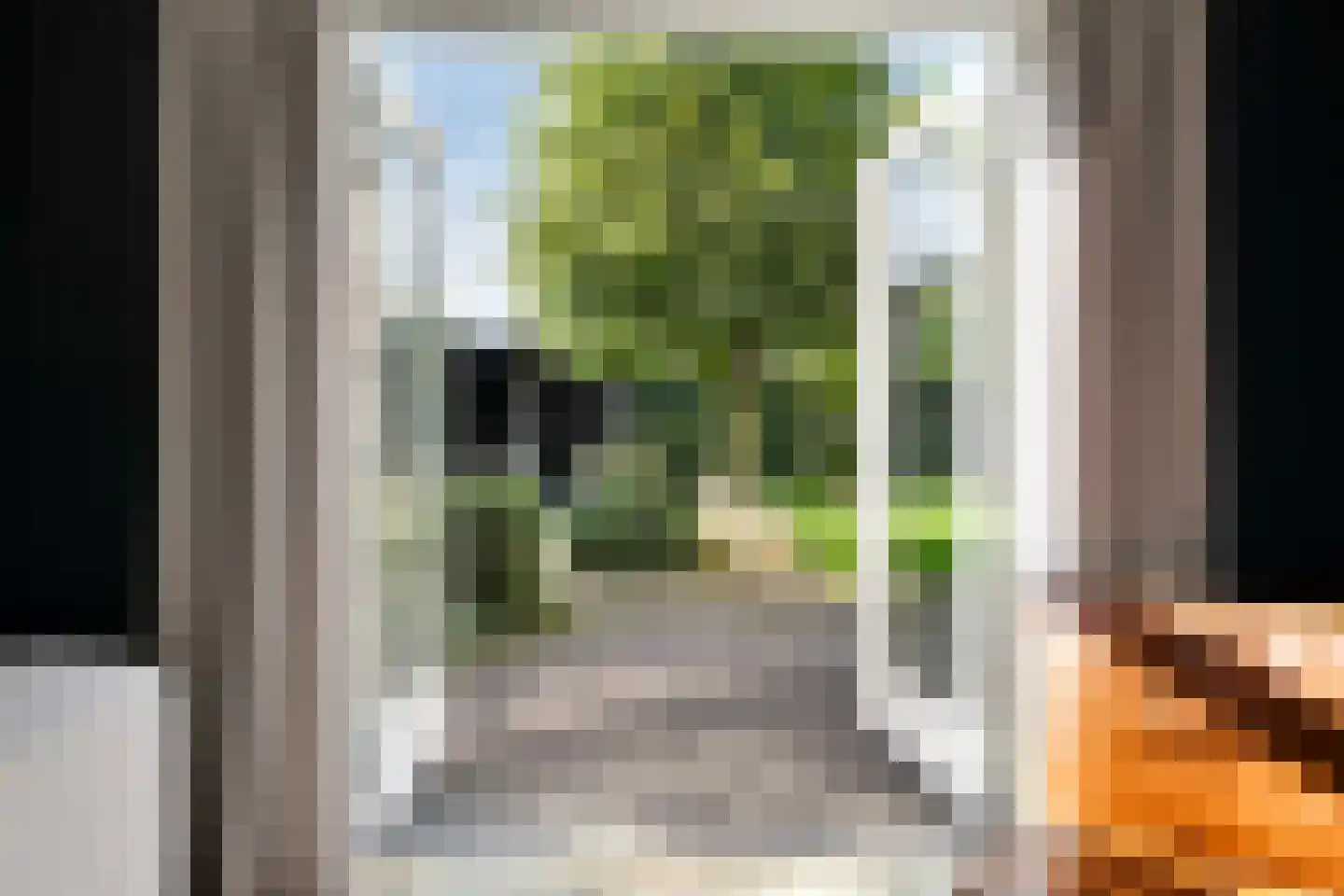 Monniksmouw 4 Wehl thumbnail 20