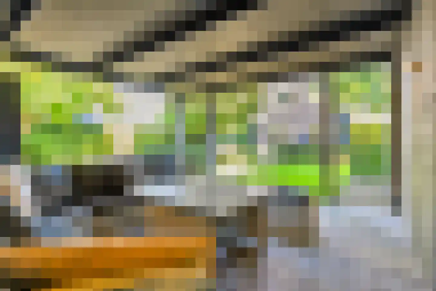 Monniksmouw 4 Wehl thumbnail 24