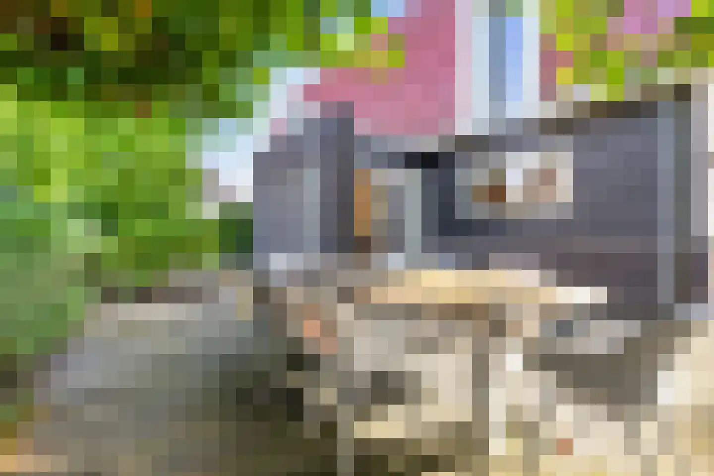 Monniksmouw 4 Wehl thumbnail 28