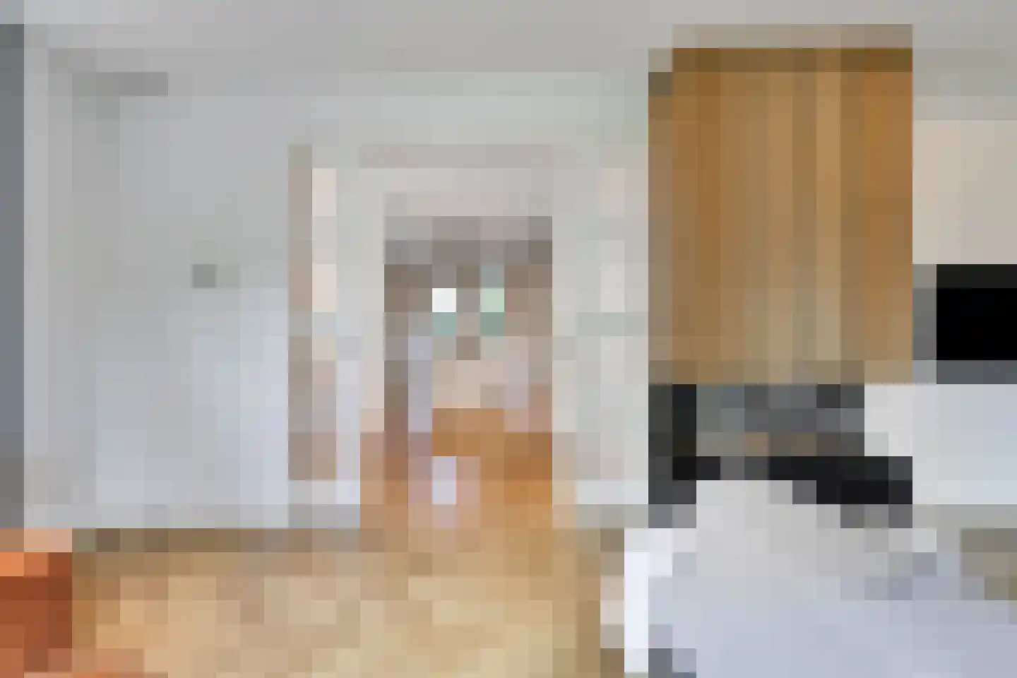 Monniksmouw 4 Wehl thumbnail 34