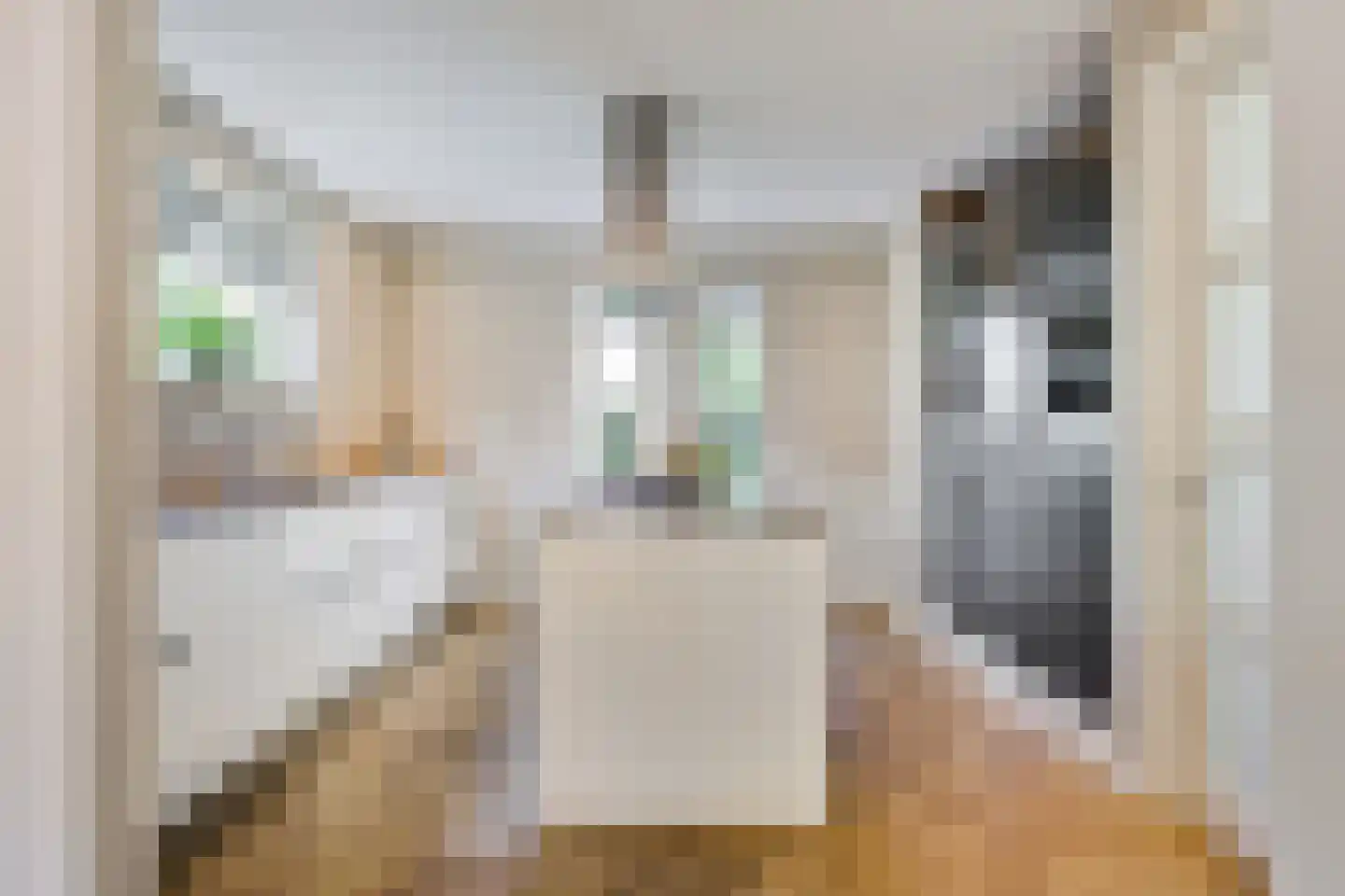 Monniksmouw 4 Wehl thumbnail 36