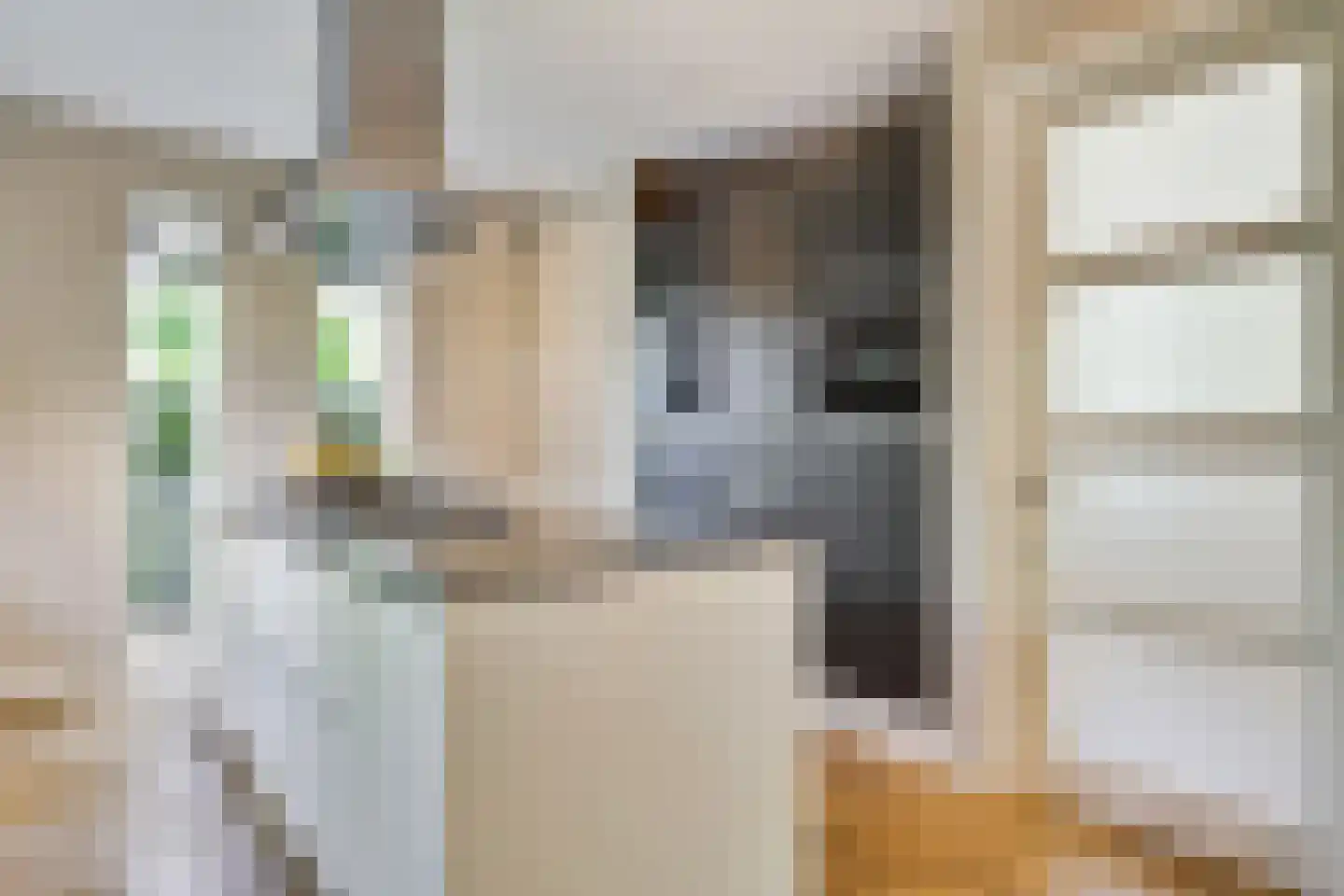 Monniksmouw 4 Wehl thumbnail 38