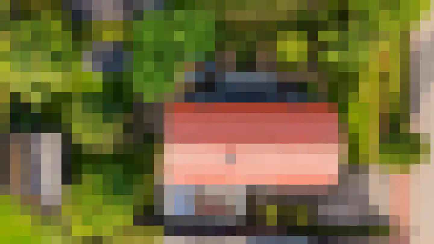 Monniksmouw 4 Wehl thumbnail 4