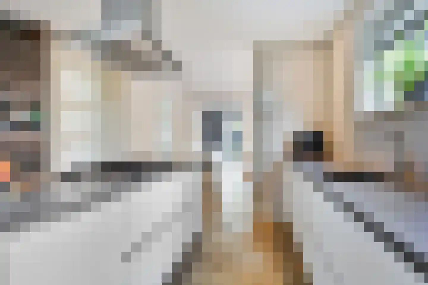 Monniksmouw 4 Wehl thumbnail 41