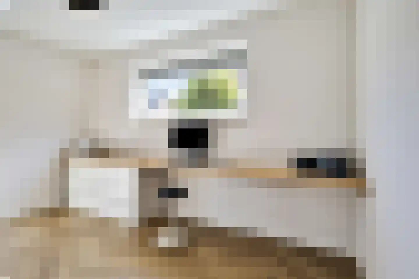 Monniksmouw 4 Wehl thumbnail 45