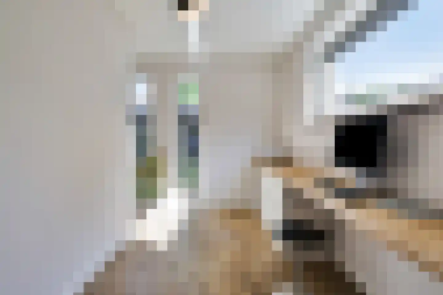 Monniksmouw 4 Wehl thumbnail 46