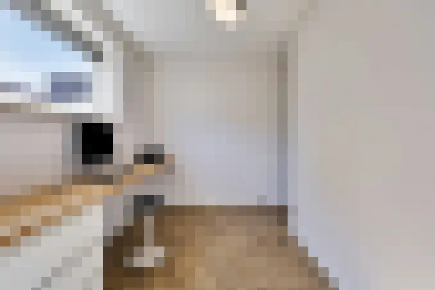Monniksmouw 4 Wehl thumbnail 47
