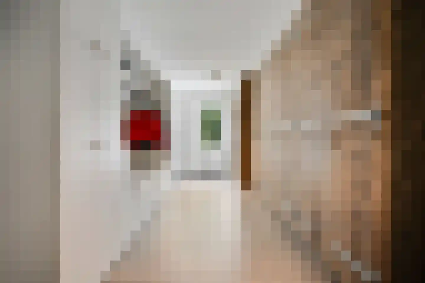 Monniksmouw 4 Wehl thumbnail 54