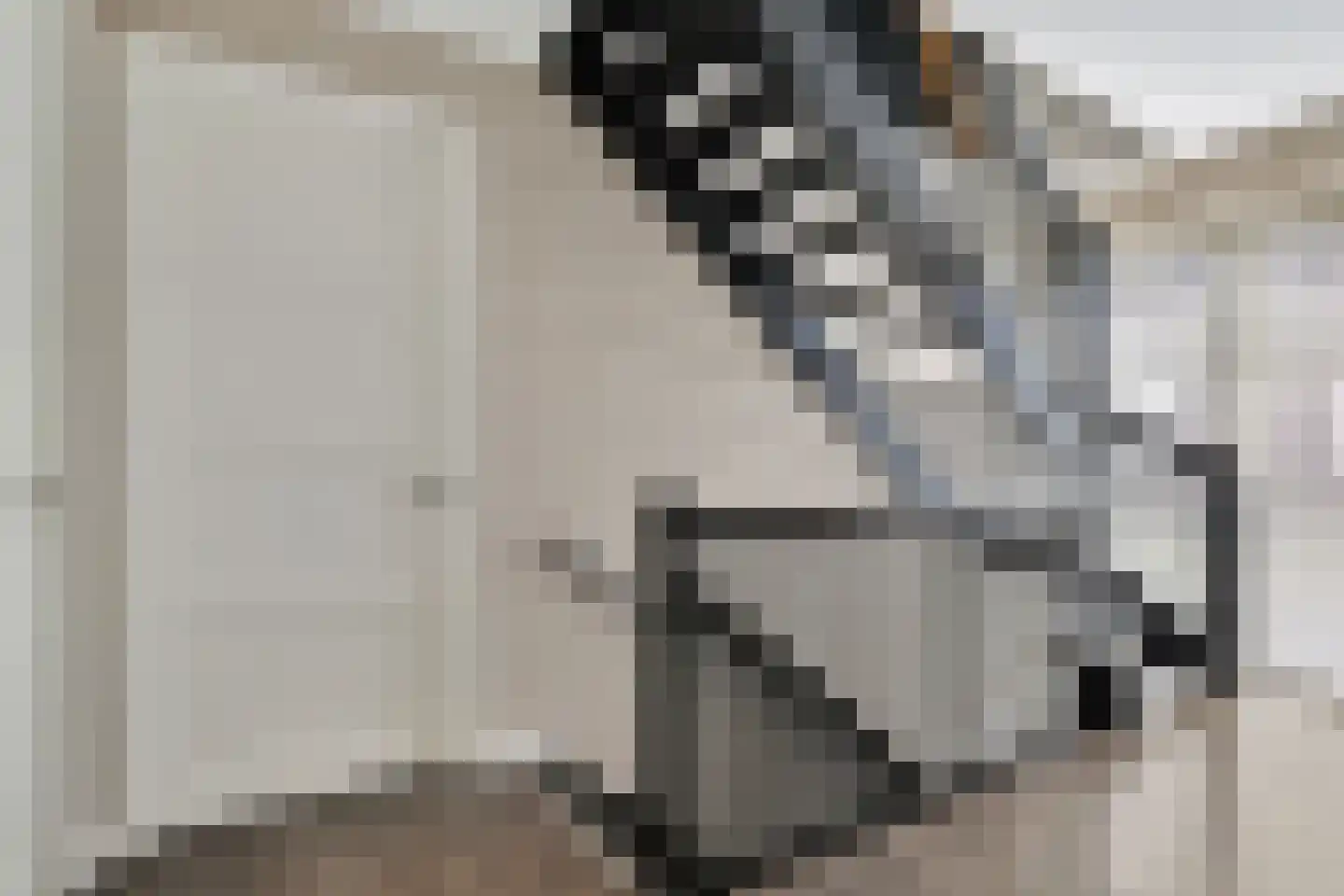Monniksmouw 4 Wehl thumbnail 71