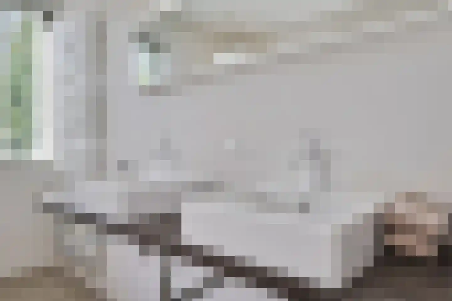 Monniksmouw 4 Wehl thumbnail 79