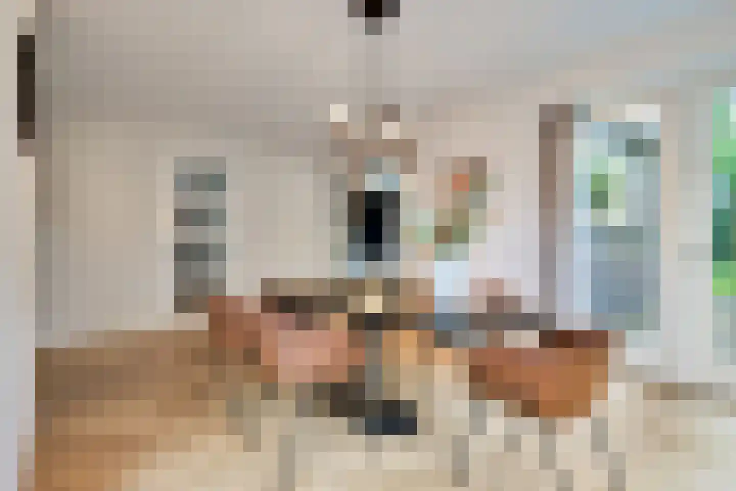Monniksmouw 4 Wehl thumbnail 8
