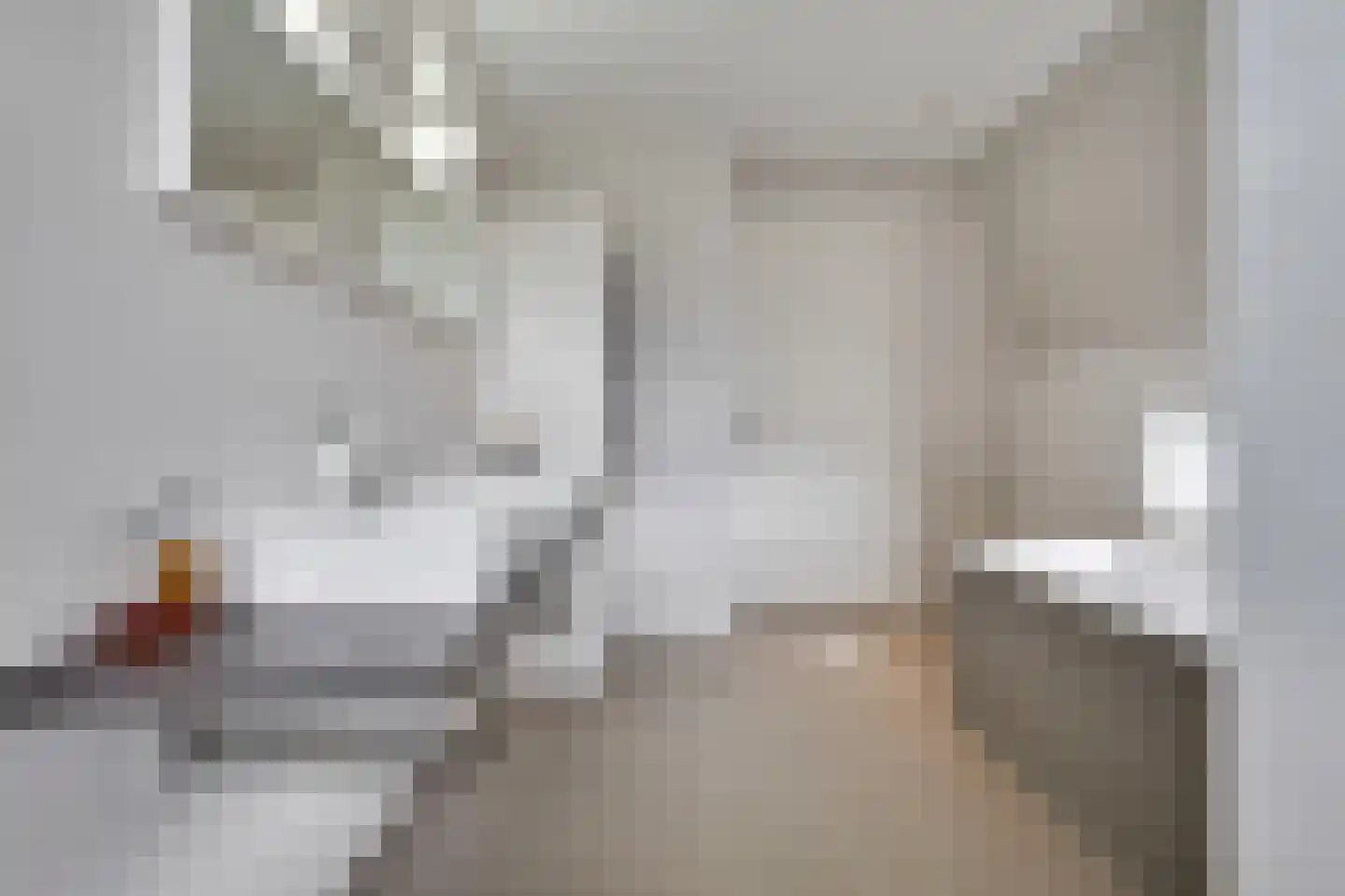 Monniksmouw 4 Wehl thumbnail 80