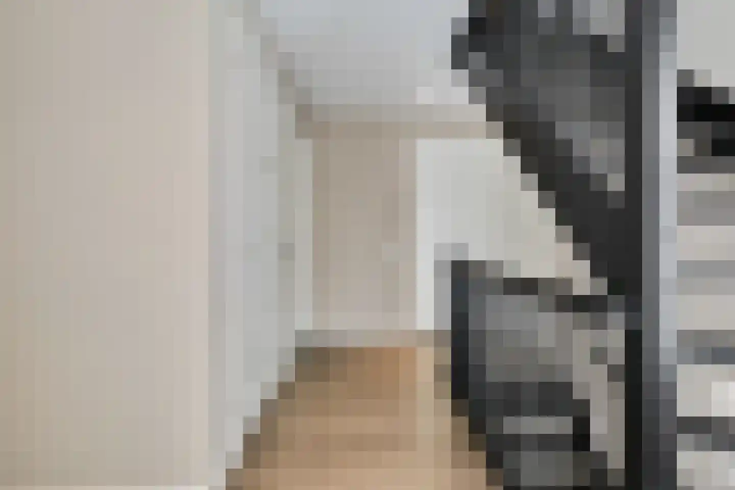 Monniksmouw 4 Wehl thumbnail 87