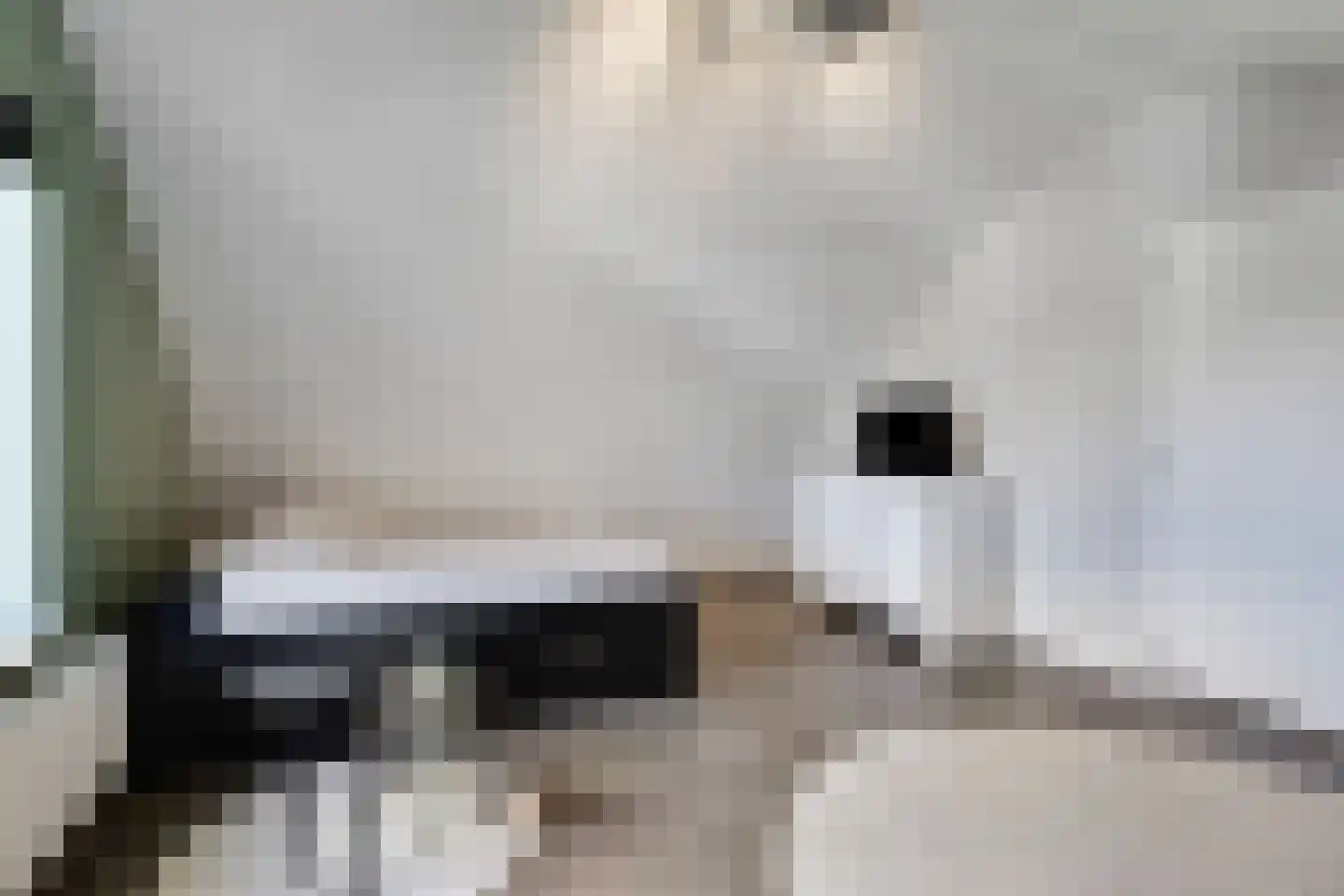 Monniksmouw 4 Wehl thumbnail 92