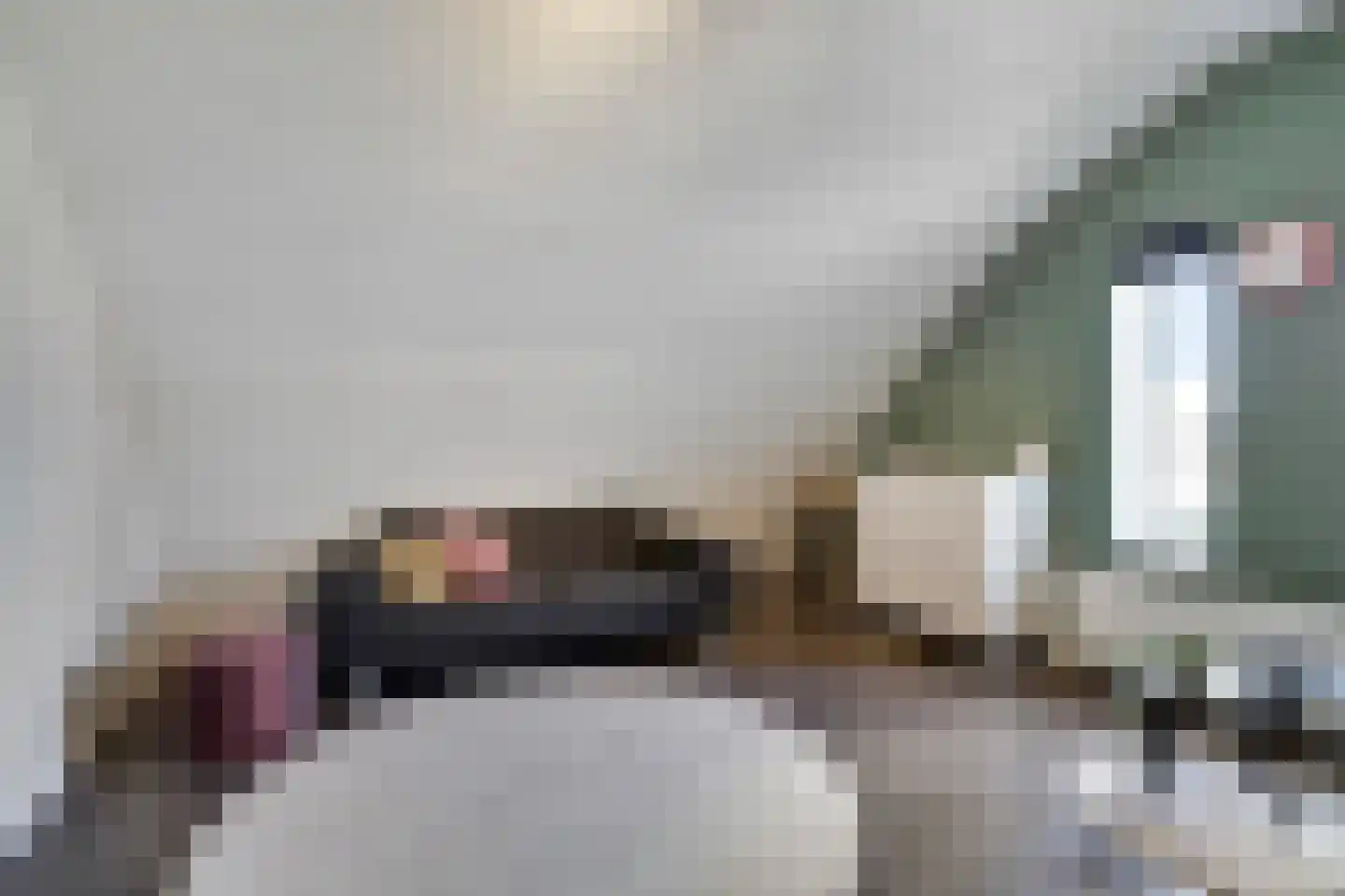 Monniksmouw 4 Wehl thumbnail 93