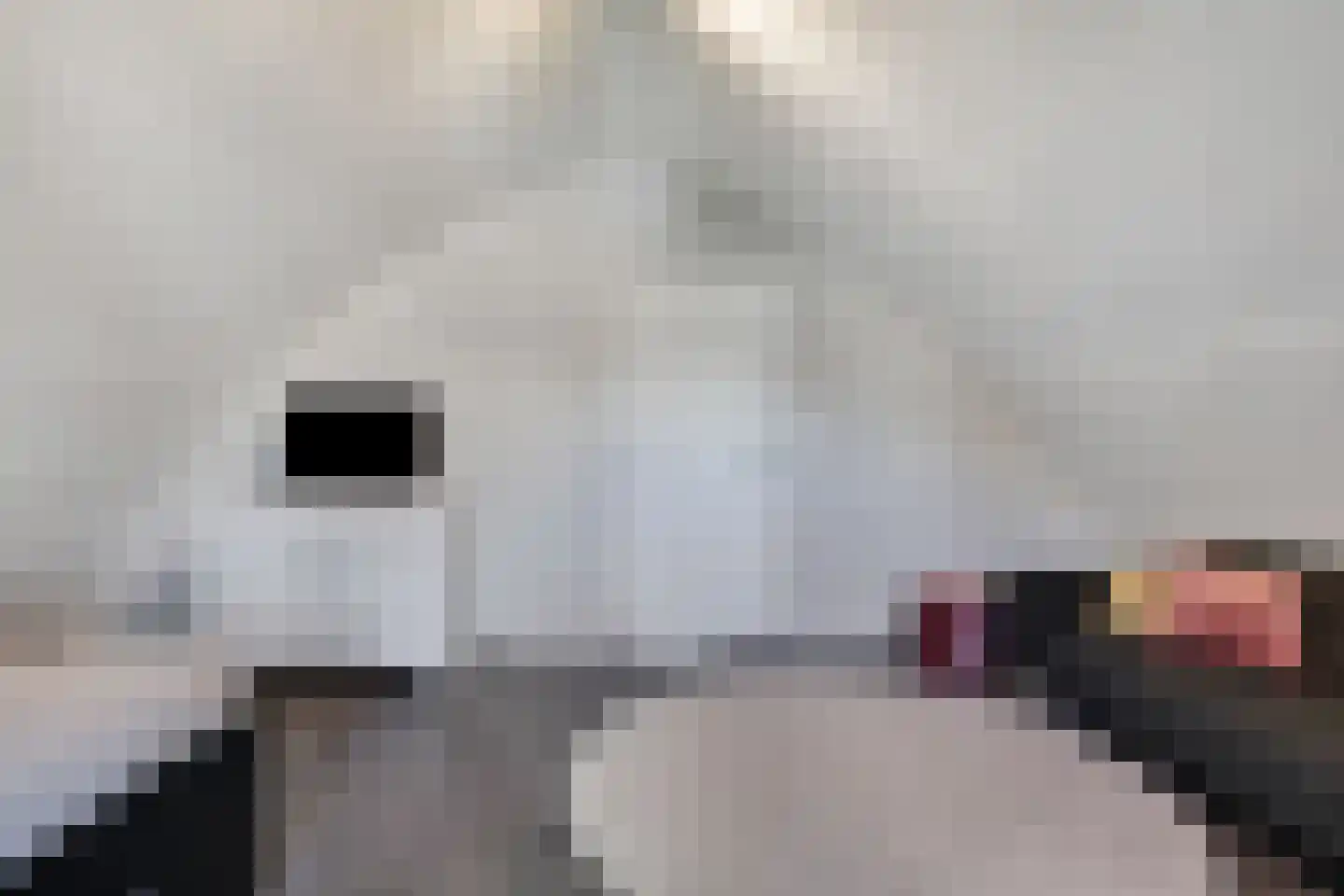 Monniksmouw 4 Wehl thumbnail 94