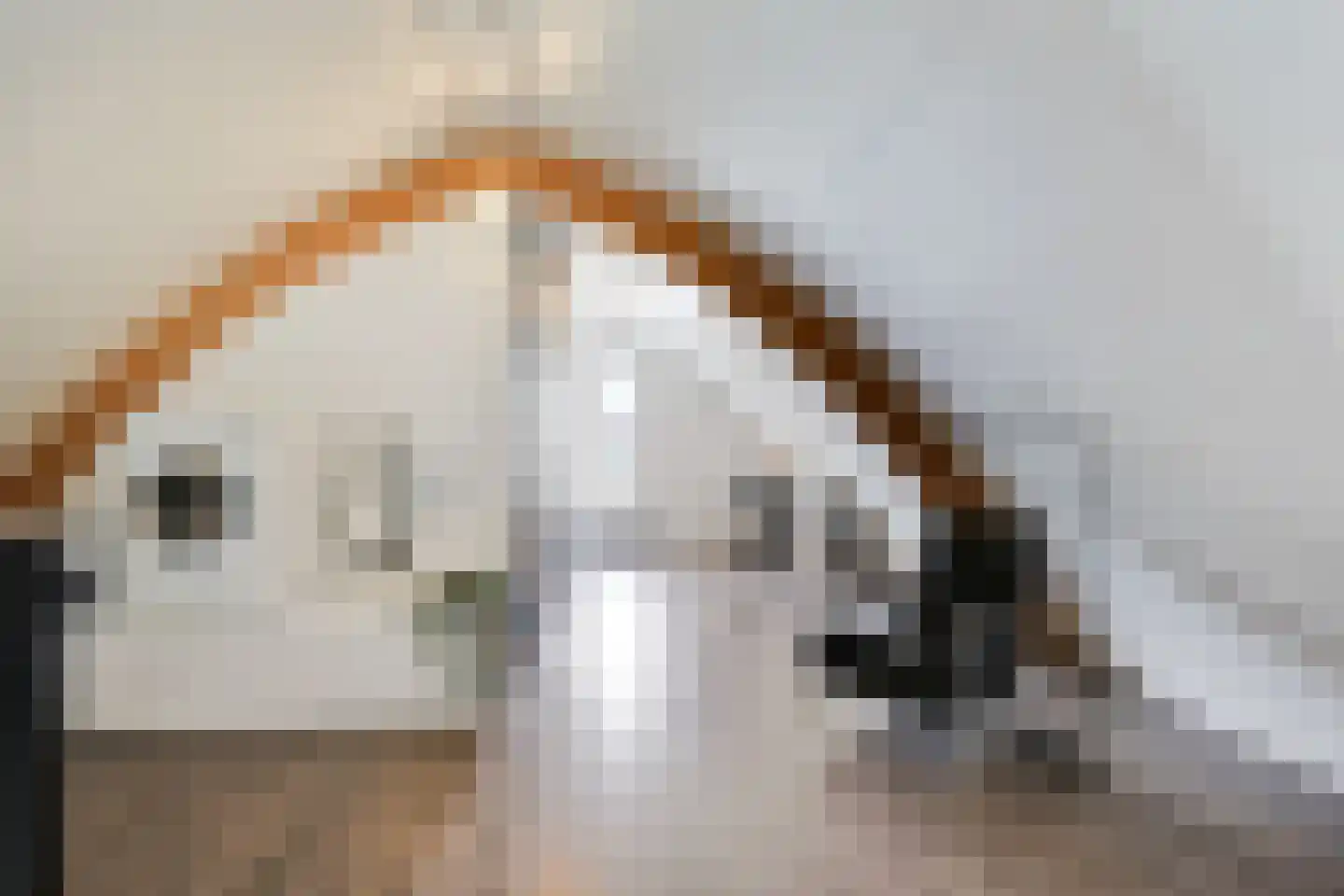 Monniksmouw 4 Wehl thumbnail 95