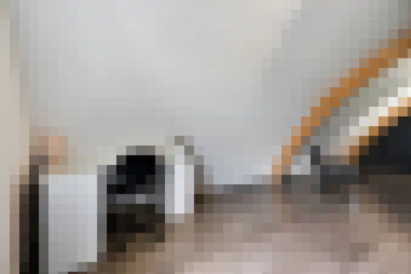 Monniksmouw 4 Wehl thumbnail 98