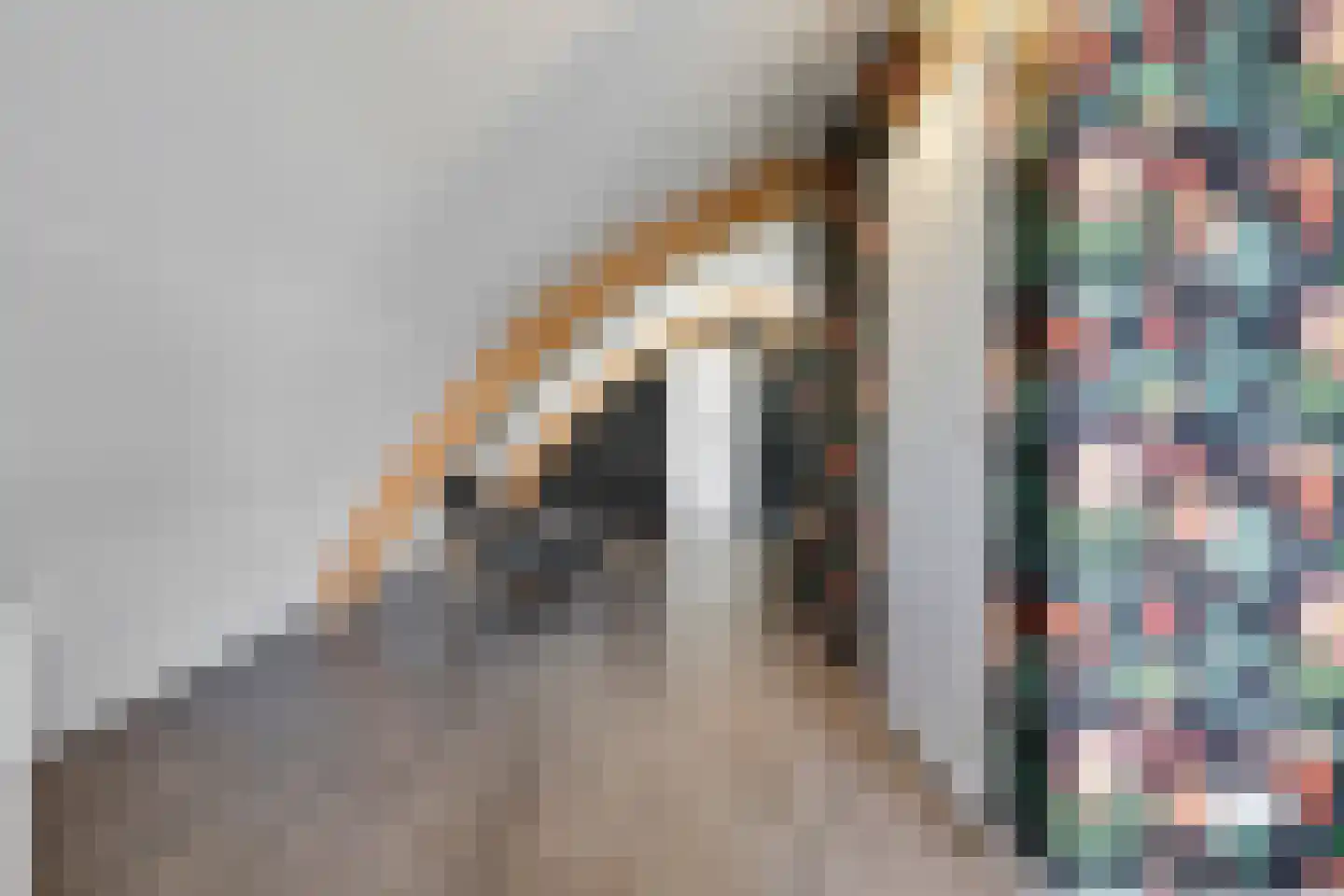 Monniksmouw 4 Wehl thumbnail 99
