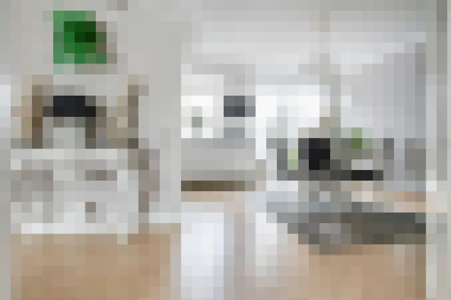 Monniksrob 12 Heerhugowaard thumbnail 11