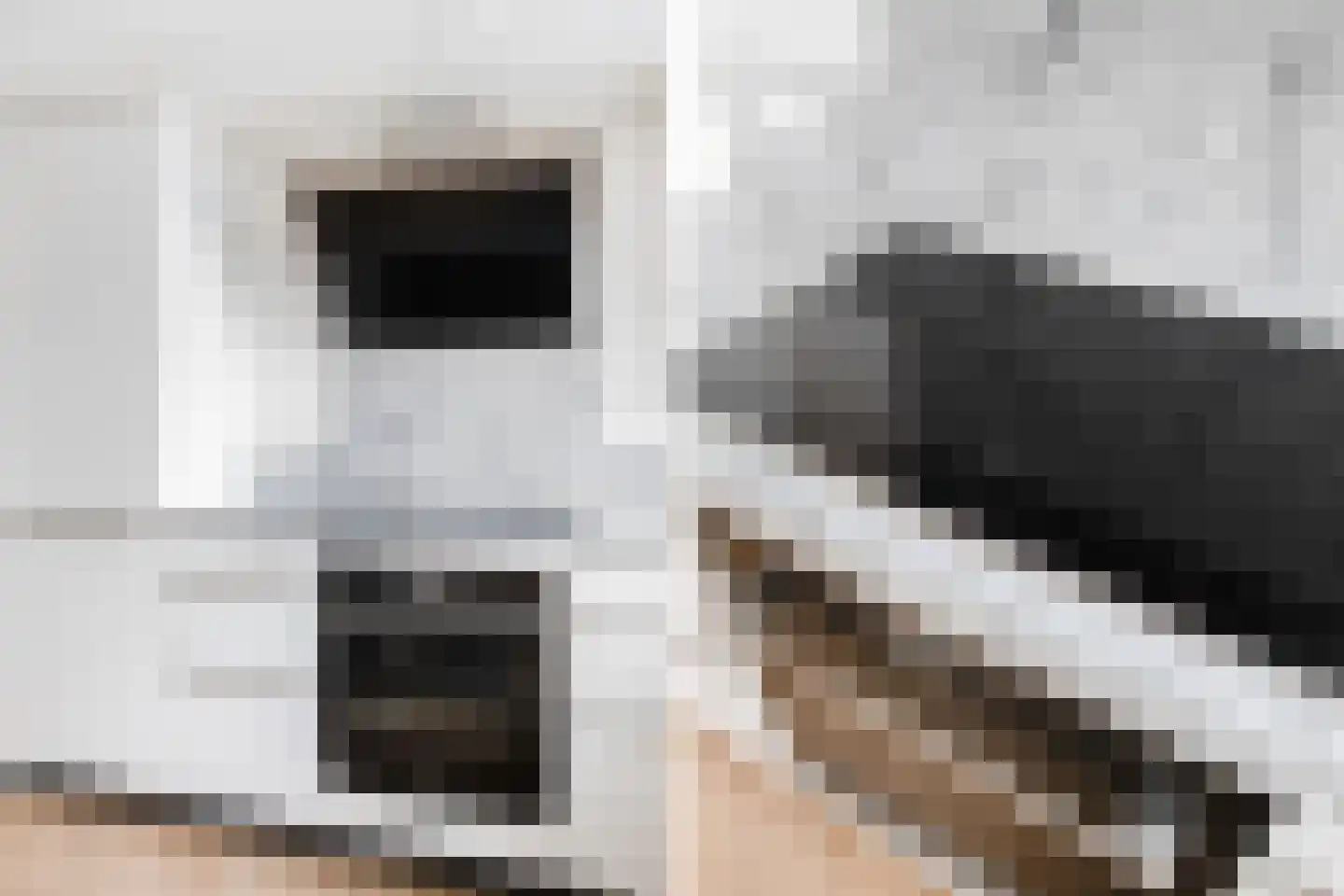 Monniksrob 12 Heerhugowaard thumbnail 16