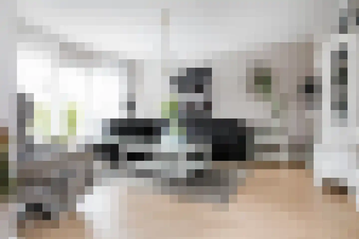 Monniksrob 12 Heerhugowaard thumbnail 18