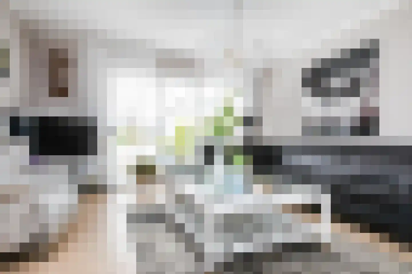 Monniksrob 12 Heerhugowaard thumbnail 19