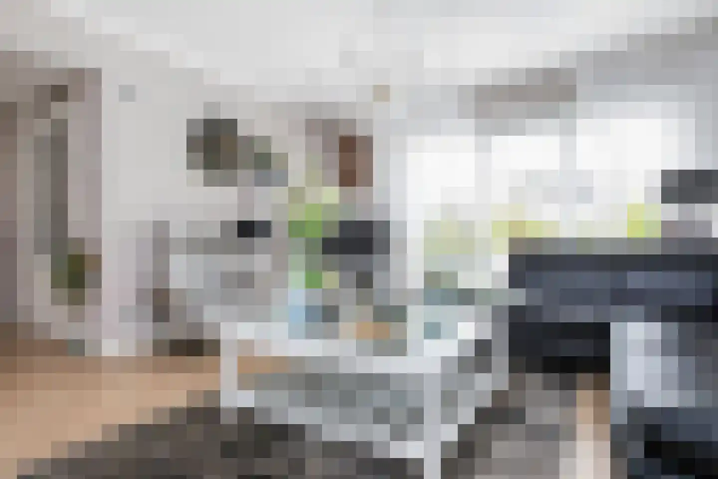 Monniksrob 12 Heerhugowaard thumbnail 20