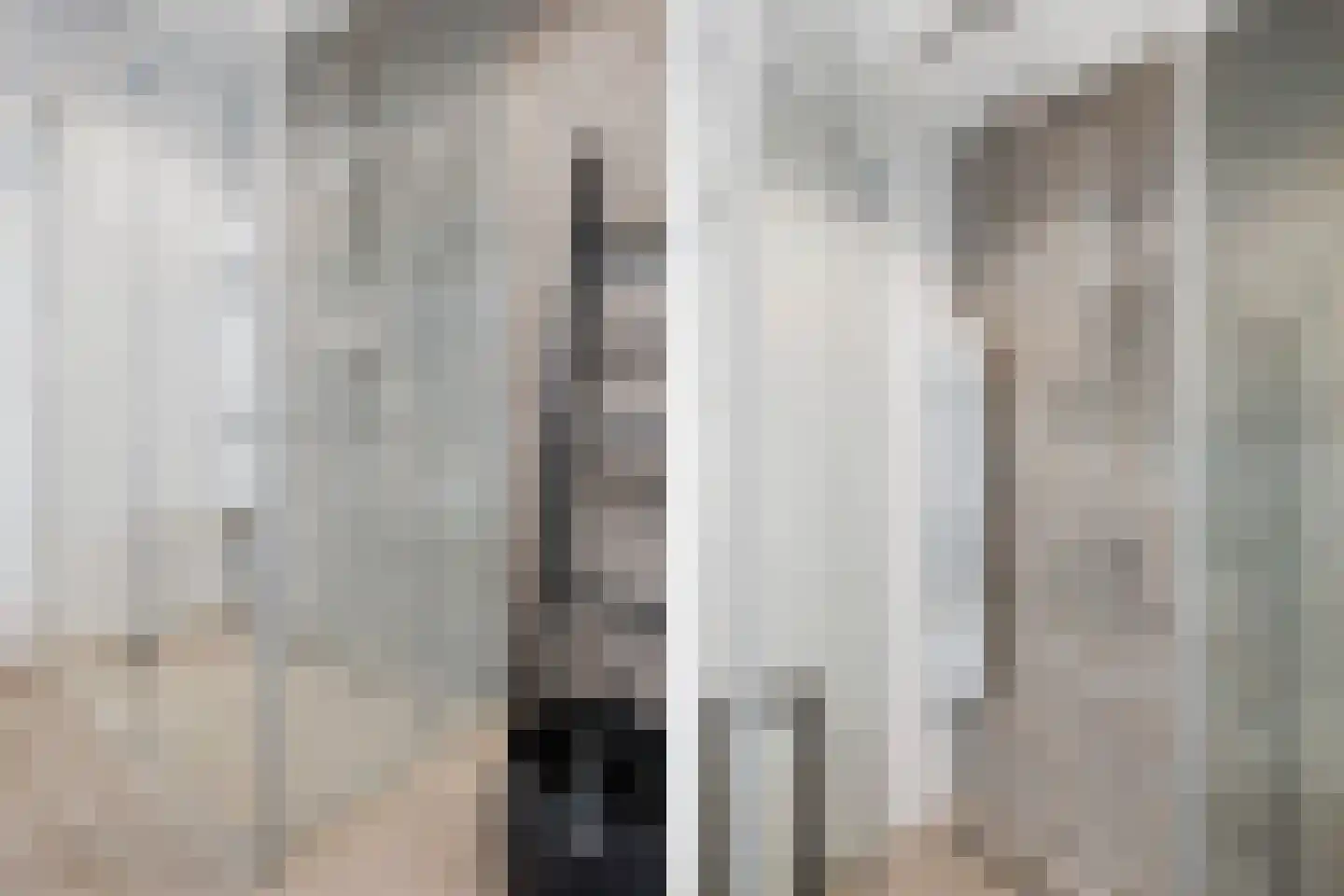 Monniksrob 12 Heerhugowaard thumbnail 30